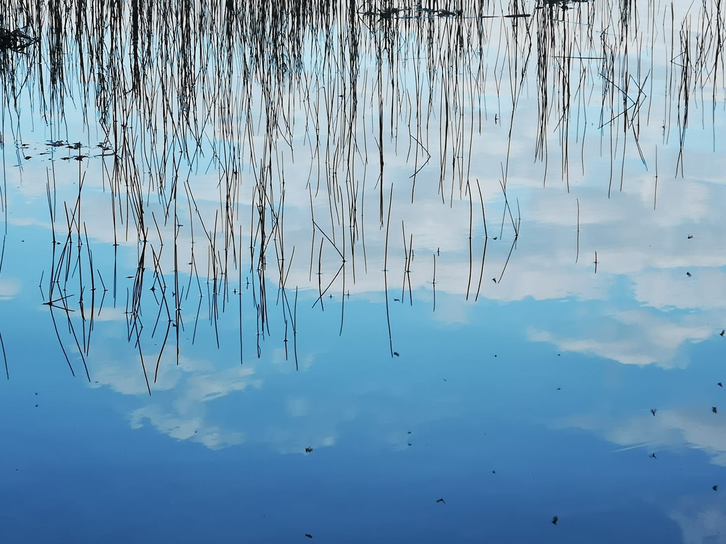 Odosobnienie Samatha Vipassana Uzdrowisko Siebie Blisko